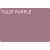 Tulip Purple 