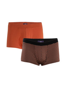 2 Boxershorts Farell Cinnamon