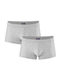 2 Boxershorts Farell Grey